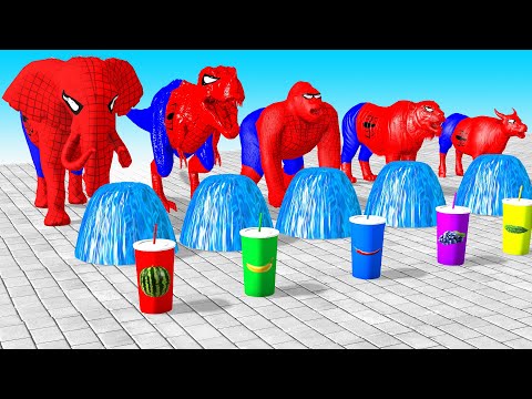 Spiderman with Elephant Dinosaur Gorilla Tiger Cow Guess The Drink Animal Crossing Animals Cage Game