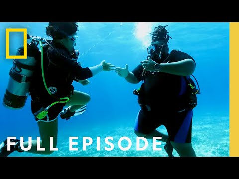 Swimming with Sharks in Mexico (Full Episode) | Never Say Never with Jeff Jenkins