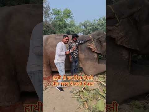 हाथी से तीन भाषा में करता है बात।। #reels #trendingshorts #trendingreels #viralreels