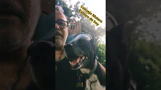 No puedes agradar a todos!