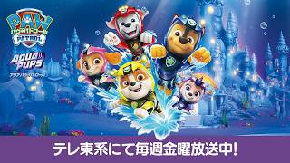 アクア パウ・パトロール| TVアニメ番宣 | テレ東系にて放送中
