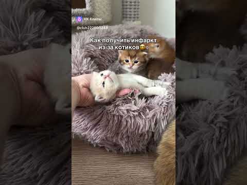 Ну забыл,немножечко 😘