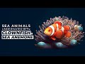 Clownfish and Sea Anemone Relationship