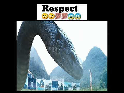 Respect