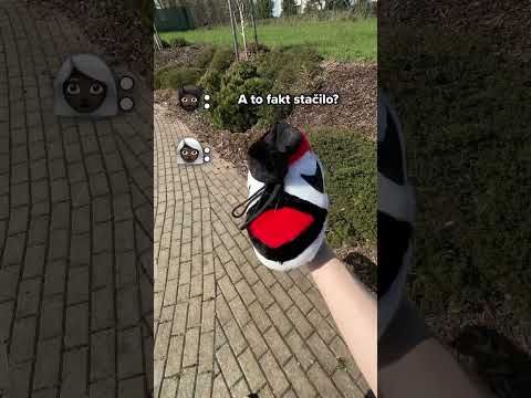 Nejpohodlnější papuče zdarma?! 😍