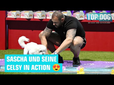 Wiedersehen mit dem süßen Duo 🥰 | Top Dog Germany 2024