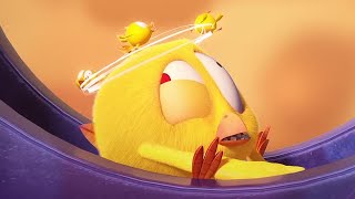 O que a Chicky está fazendo? | Onde está Chicky? | Pintinha amarelinho | Desenhos animados Infantil