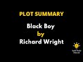 Richard Wright's Life and Choices