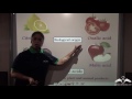 Understanding Acids and Their Properties