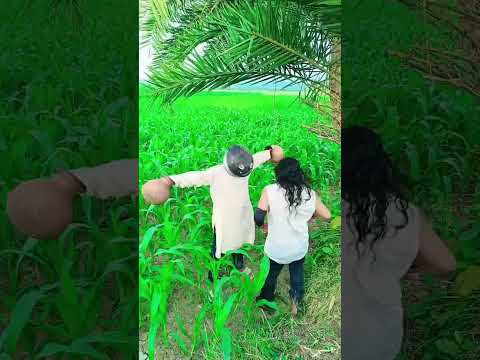 চোরের নোবেল পুরস্কার পাবে এরা #ekbarjedekhbihobirekabu #november #funny #comedy #halloween #dance