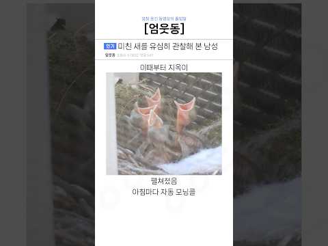 미친 새를 유심히 관찰해 본 남성ㅋㅋ