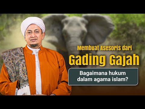 Hukum Asesoris dari tulang dan kulit hewan - Habib Hasan Bin Ismail Al Muhdor