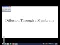 Cell Membrane Transport Concepts