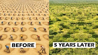 How Kenyans Are Restoring Forests Using Simple Holes in the Ground