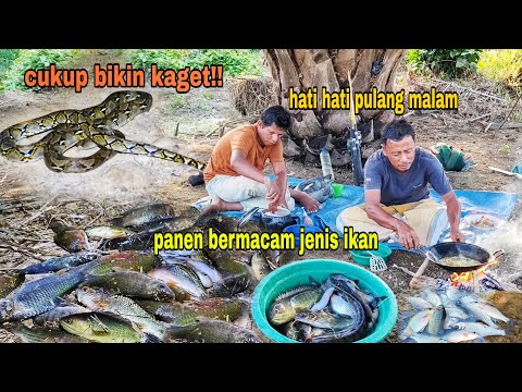 CUKUP BIKIN KAGET || HABIS PENEN IKAN, KETEMU SI CANTIK TEBAR PESONA DI TENGAH JALAN