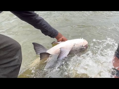 Bored to see  these videos, |the fishermen have a lot of fun in the big fish coming out.