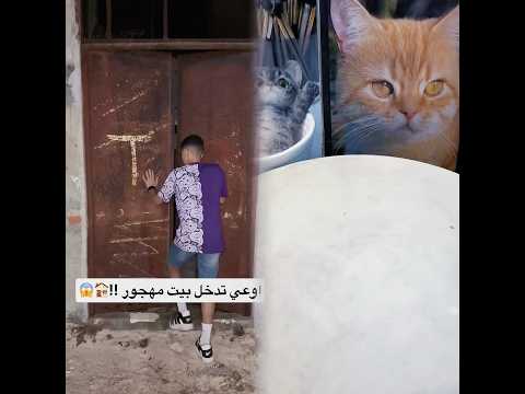 عساس الدار !!🏚️ #عبدالرحمن_الدسوقي