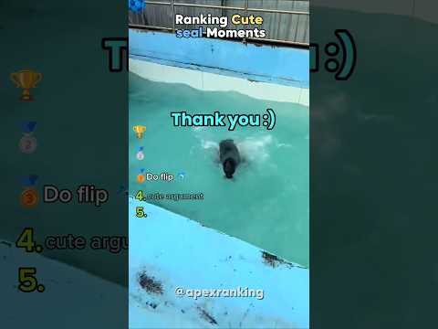 ranking best seal moments #usa