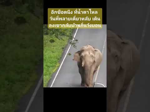 พ่อมาส่งถึงตรงนี้นะ ที่เหลือลูกดูแลตัวเองนะ พี่เดี่ยว ไม่รู้จะได้เจอกันอีกวันไหนครับ คิดถึงมากๆ