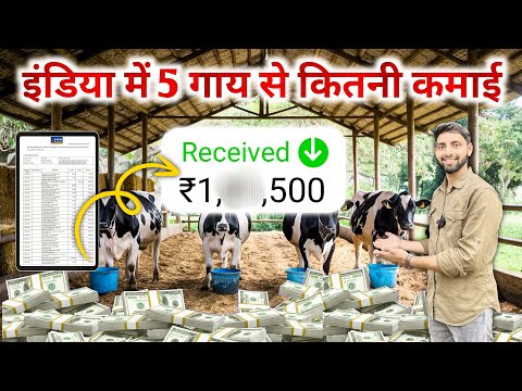 5 गाय पालने में कितना खर्चा कितनी कमाई | Dairy farming Calculation