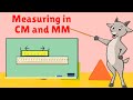 Measurement Conversions and Applications