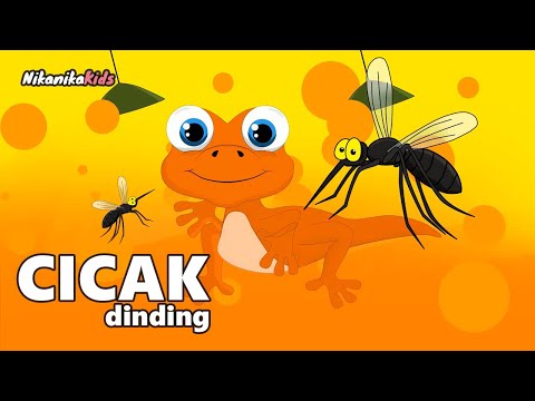 cicak cicak dinding lucu - Lagu anak anak balita indonesia