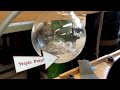 Understanding the Triple Point and Cyclohexane Experiment