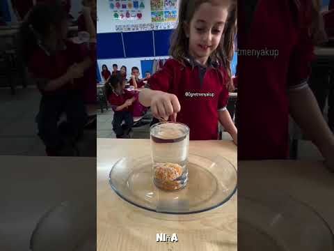 Intentaron todo… ¡pero solo una niña resolvió el desafío! 🤯🍊