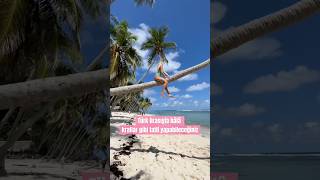 MAURITIUS GEZİ REHBERİ 🇲🇺🌴✈️ #shorts