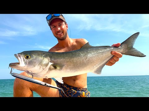 GROSSI Pesci Serra a Spinning Topwater da Riva al Cambio di Marea!