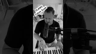 FLAWS by Calum Scott - cover by Nico Lange #pianoandvoice #calumscott #hochzeit #hochzeitssänger