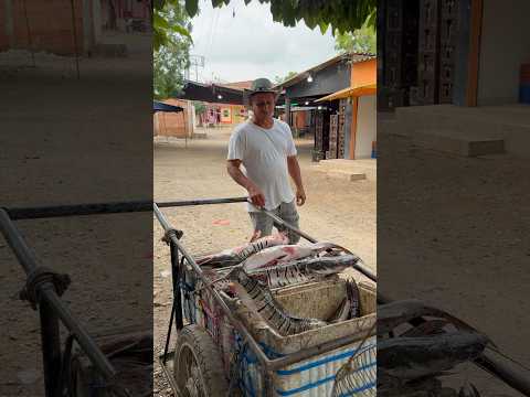 Comprando la bendición #fishing #pescasub #pesca #lineadepesca #enbuscadelosmejoresprecios #fish