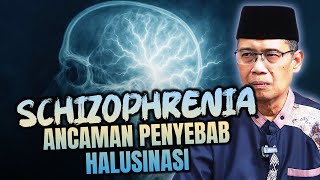 ANCAMAN PENYEBAB HALUSINASI,SKIZOFRENIA