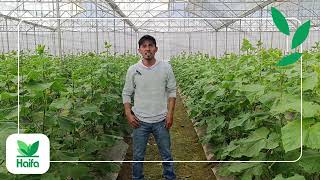 Success Story   HS