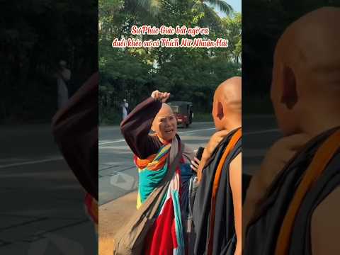 Phúc Giác đuổi khéo sư Cô Nhuận Hải, sư Minh Tuệ biết không #thichminhtue #shortvideo #kubin