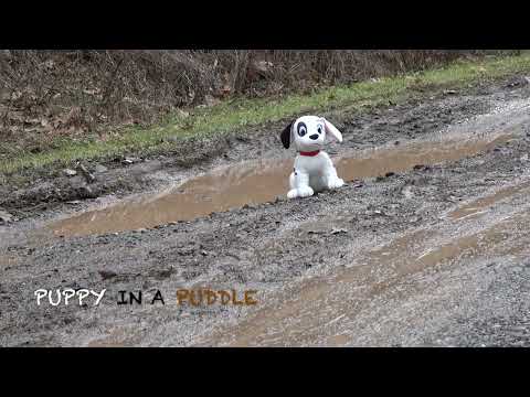 BOYS DESTROY TOYS - PUPPY IN A PUDDLE