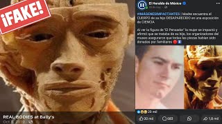 La Madre Que Encontró A Su Hijo En Una Exhibición | Desmentido / La Verdadera Historia