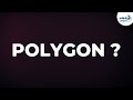 Understanding Polygons and Their Properties