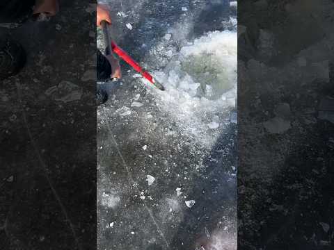 Ice fish fishing