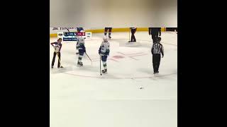 Fan throws Candy at Elias Pettersson, a breakdown