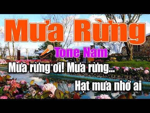 Karaoke Mưa Rừng Nhạc Trữ Tình Rumba Tone Nam Dễ Hát