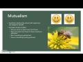 Symbiotic Relationships in Ecology