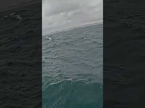 Massive Lake Michigan waves rock buoy