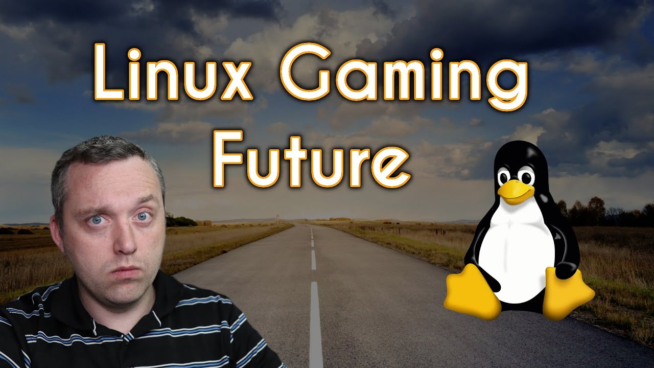 Linux's Gaming Future - DXVK Enters Maintenance mode - Chris Titus Tech