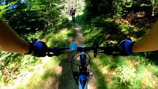 Singletrack Nové Město pod Smrkem