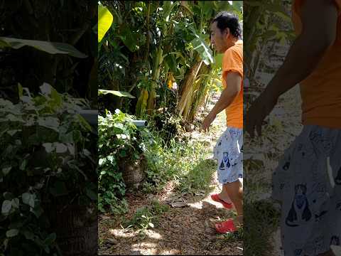 gia đình hạnh phúc #shorts #funny #viralvideo #video