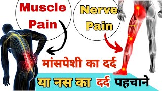 मांसपेशी के दर्द और नस के दर्द मे अंतर पहचाने। difference between Nerve pain and muscle pain.