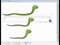 Measurement Tools and Units