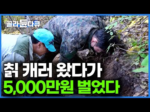 칡 캐러 왔을 뿐인데... 생각지도 못한 행운이 찾아왔다ㅣ작업자들 흥분하게 만든 5,000만 원 짜리의 정체ㅣ칡 제거반ㅣ극한직업│#골라듄다큐