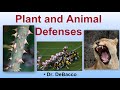 Plant and Animal Defense Mechanisms